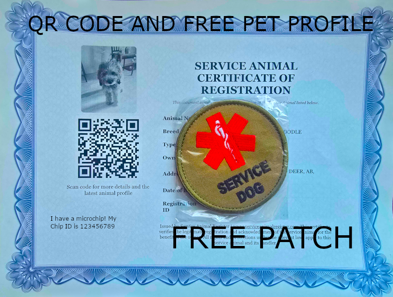 Dog Certificate in Frame